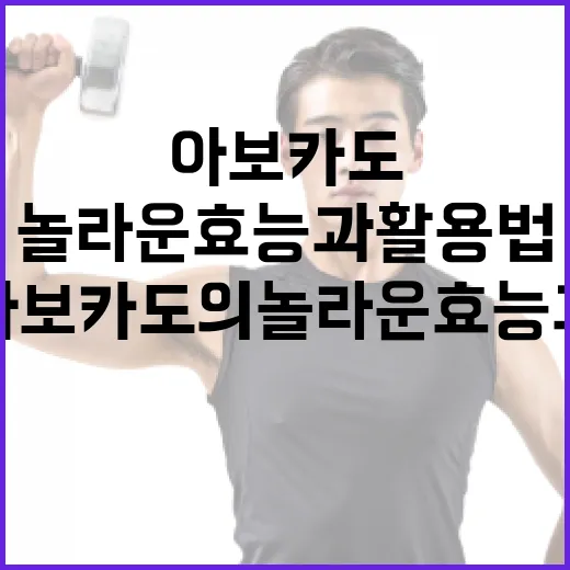 아보카도의 놀라운 효능과 활용법 - 요약