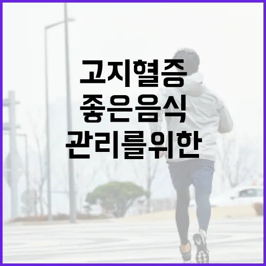 고지혈증 관리를 위한 좋은 음식 선택하는 방법 - 요약