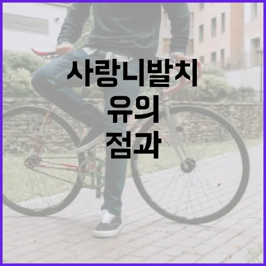 사랑니 발치 후 식사 시 유의할 점과 안전한 식품 선택 방법 - 요약