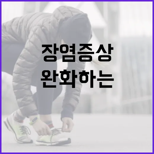 장염증상을 완화하는 방법: 전문가가 알려주는 팁 - 요약