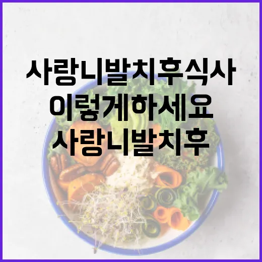 사랑니 발치 후 식사, 이렇게 하세요! - 요약
