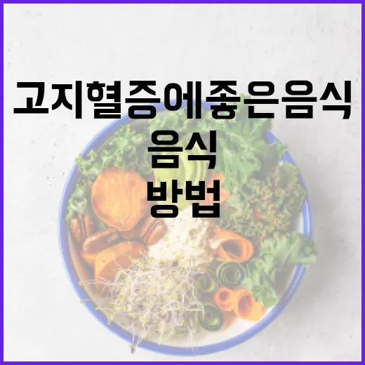 고지혈증에 좋은 음식을 선택하는 방법 - 요약