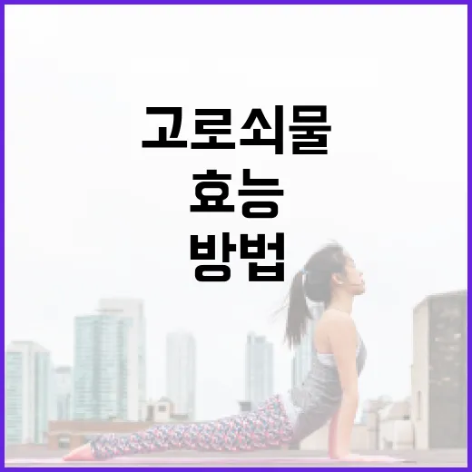 고로쇠물의 건강 효능을 극대화하는 방법 - 요약