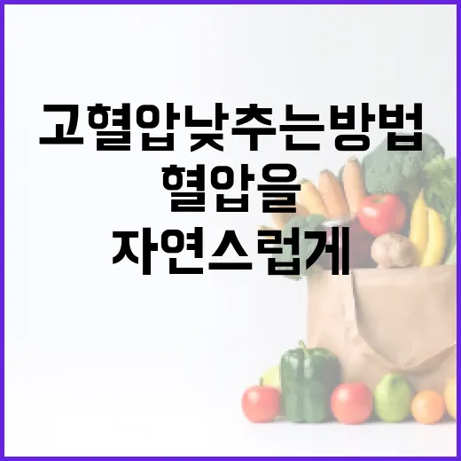 고혈압 낮추는 방법: 자연스럽게 혈압을 조절하려면 이렇게 하세요 - 요약