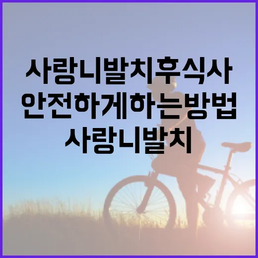 사랑니 발치 후 식사를 안전하게 하는 방법 - 요약