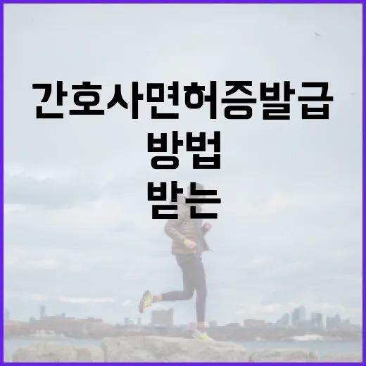 간호사 면허증 발급 받는 방법 - 요약