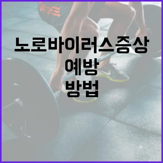 노로바이러스 증상 알아보고 예방하는 방법 - 요약