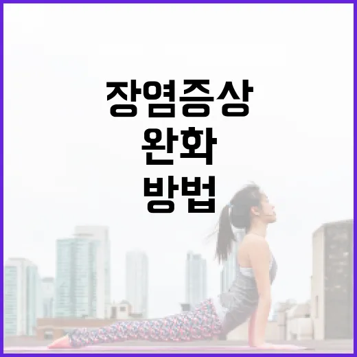 장염 증상을 완화하는 방법 - 요약