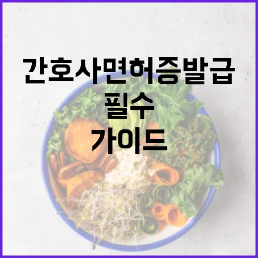간호사 면허증 발급을 위한 필수 가이드 - 요약