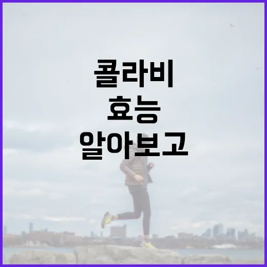 콜라비 효능 알아보고 건강하게 섭취하는 방법 - 요약