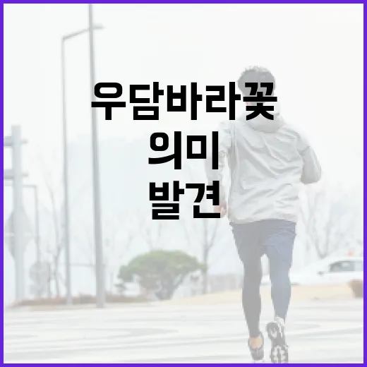 우담바라꽃을 발견하는 방법과 그 의미 - 요약