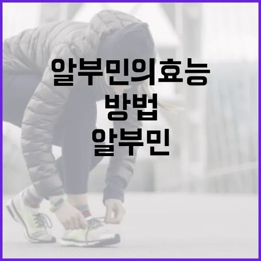 알부민의 효능을 극대화하는 방법 - 요약