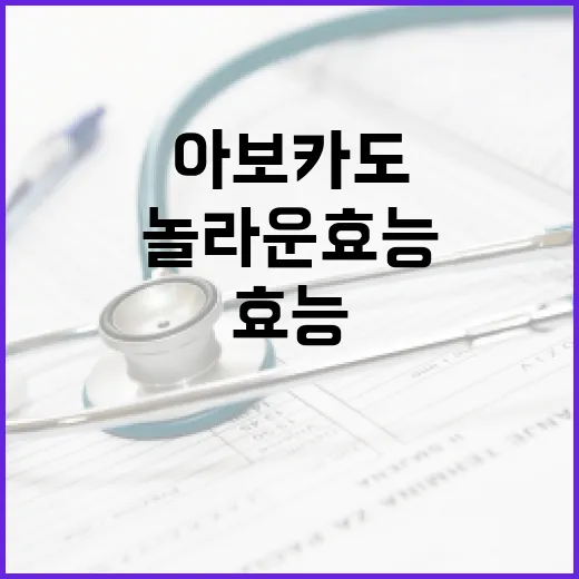 아보카도의 놀라운 효능을 극대화하는 방법 - 요약