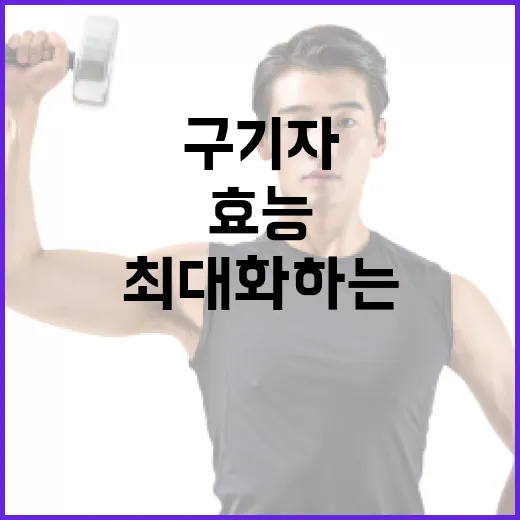 구기자의 효능을 최대화하는 방법 - 요약