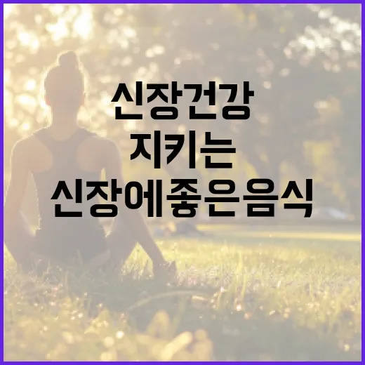 신장 건강을 지키는 방법: 신장에 좋은 음식 - 요약