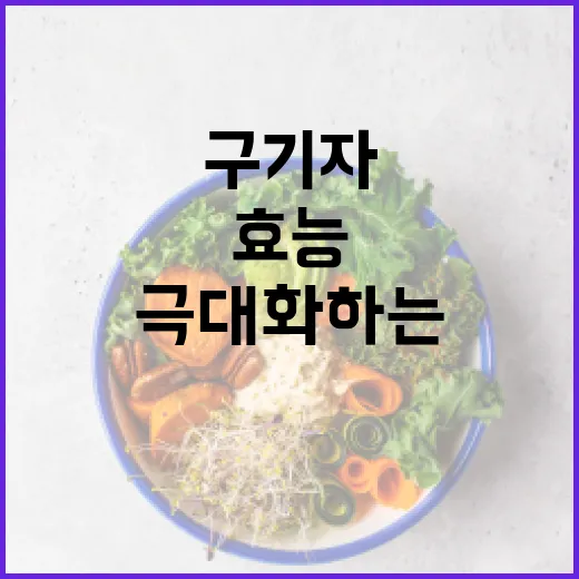 구기자의 효능을 극대화하는 방법 - 요약