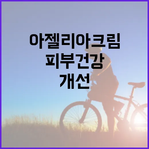 아젤리아크림을 활용한 피부 건강 개선 방법 - 요약