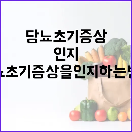당뇨 초기증상을 인지하는 방법 - 요약