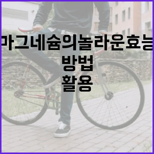 마그네슘의 놀라운 효능을 최대한 활용하는 방법 - 요약