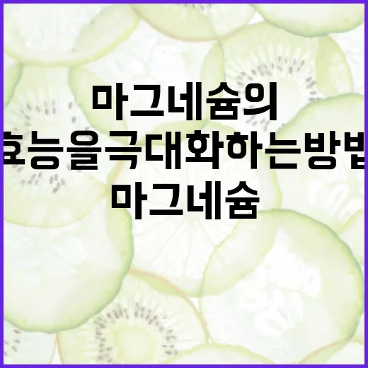 마그네슘의 건강 효능을 극대화하는 방법 - 요약