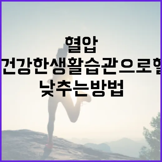 혈압을 낮추는 방법: 건강한 생활습관으로 혈압 관리하기 - 요약