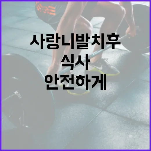 사랑니 발치 후 안전하게 식사하는 방법 - 요약