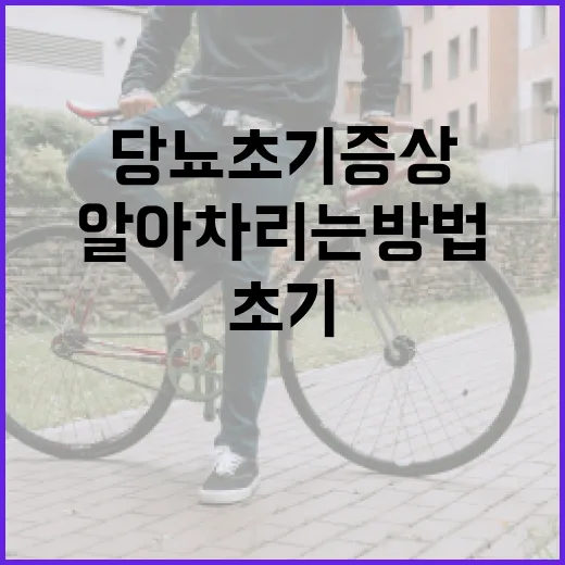 당뇨 초기증상을 알아차리는 방법 - 요약