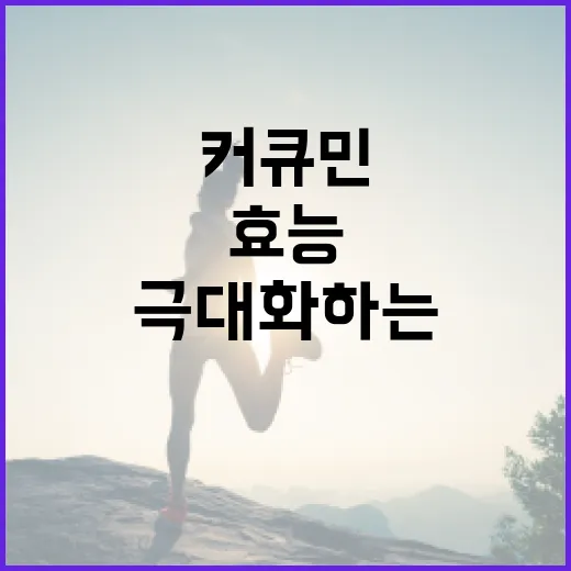 커큐민의 효능을 극대화하는 방법 - 요약