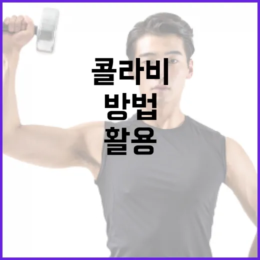 콜라비 효능을 최대한 활용하는 방법 - 요약