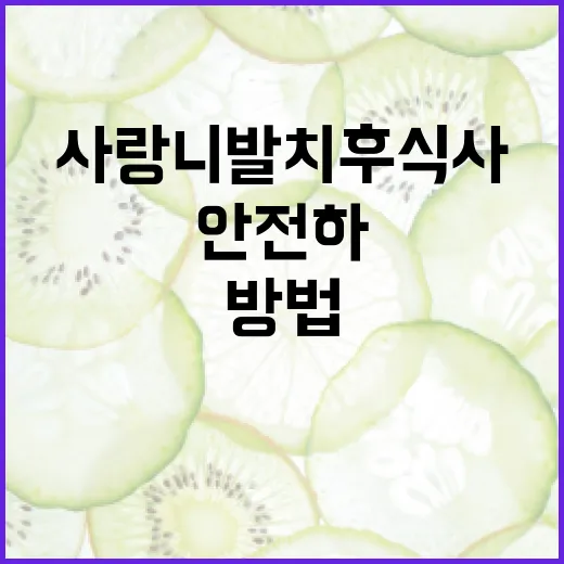 사랑니 발치 후 식사하는 방법: 안전하고 건강하게 - 요약