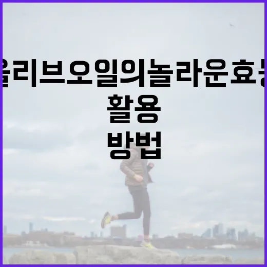 올리브오일의 놀라운 효능을 최대한 활용하는 방법 - 요약