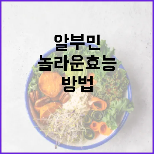 알부민의 놀라운 효능을 알아보는 방법 - 요약