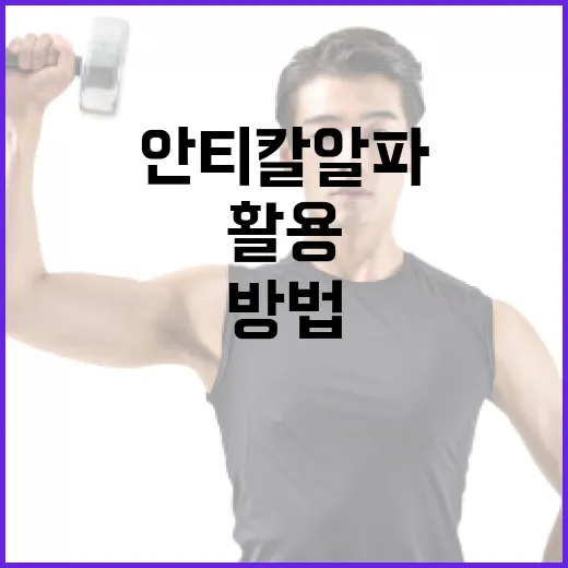 안티칼알파를 효과적으로 활용하는 방법 - 요약