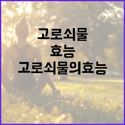 고로쇠물의 효능을 최대한 활용하는 방법 - 요약