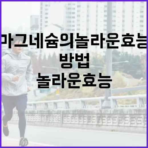 마그네슘의 놀라운 효능을 활용하는 방법 - 요약