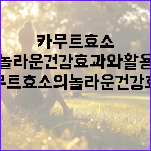 카무트 효소의 놀라운 건강 효과와 활용 방법 - 요약