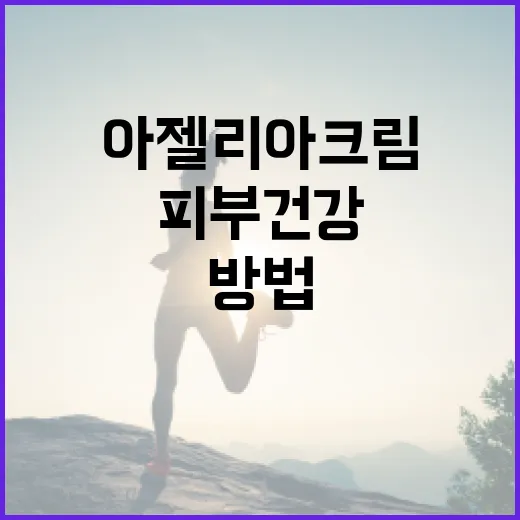 아젤리아크림으로 피부 건강을 최적화하는 방법 - 요약