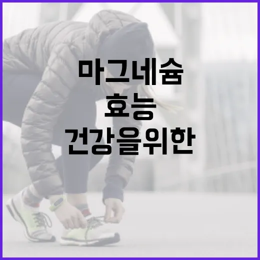 마그네슘의 효능을 극대화하는 방법: 건강을 위한 필수 가이드 - 요약