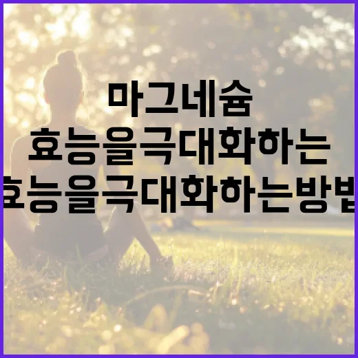 마그네슘 효능을 극대화하는 방법 - 요약