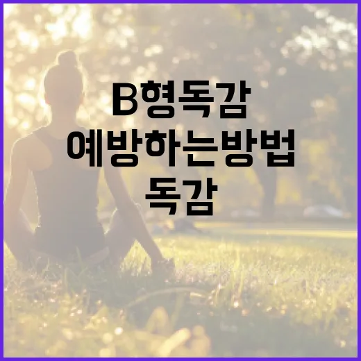 B형 독감을 예방하는 방법 - 요약