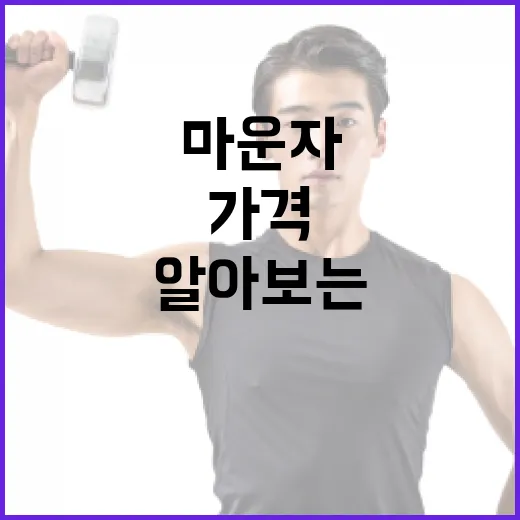 마운자 가격을 알아…
