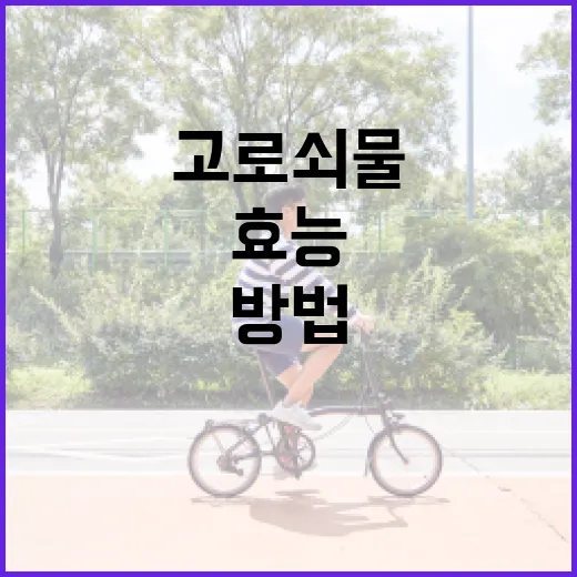 고로쇠물의 건강 효능을 극대화하는 방법 - 요약