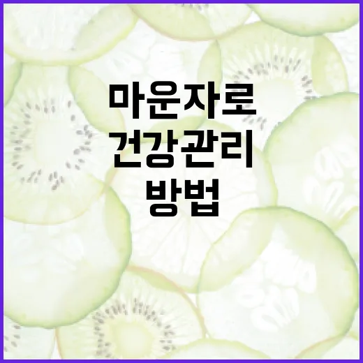 마운자로를 활용한 효과적인 건강 관리 방법 - 요약