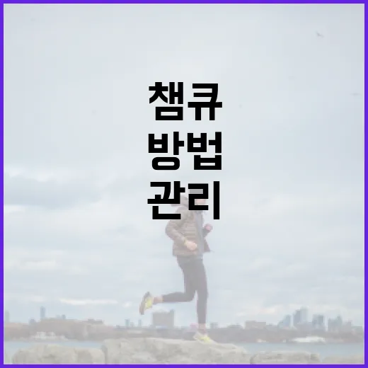 챔큐를 활용하여 건강을 관리하는 방법 - 요약