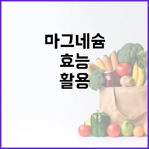 마그네슘의 효능을 최대한 활용하는 방법 - 요약