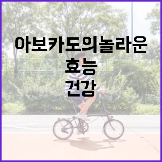 아보카도의 놀라운 건강 효능 알아보기 - 요약