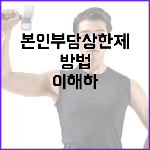 본인부담상한제를 이해하고 최대한 활용하는 방법 - 요약