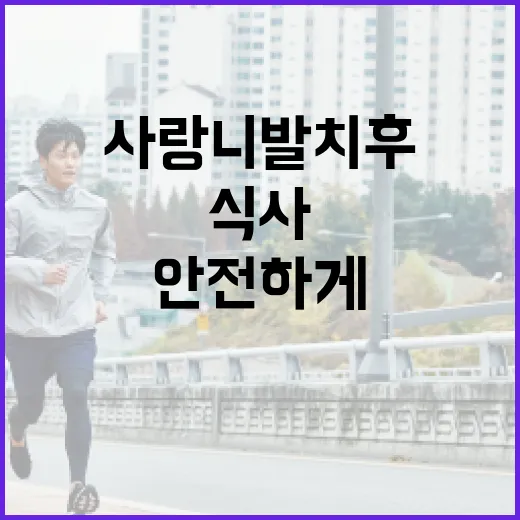 사랑니 발치 후 안전하게 식사하는 방법 - 요약