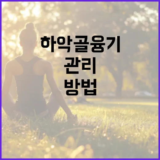 하악골융기를 예방하고 관리하는 방법 - 요약