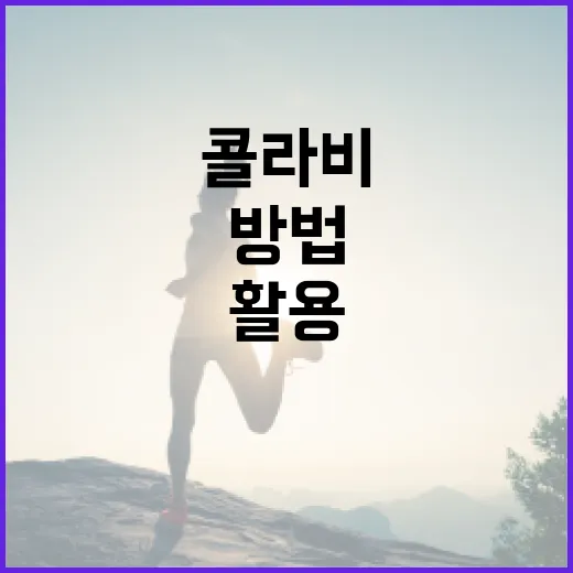 콜라비의 효능을 최대한 활용하는 방법 - 요약